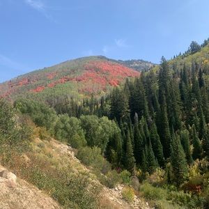 Meet your Posher, Colten